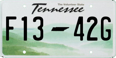 TN license plate F1342G