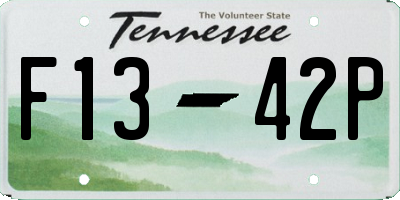 TN license plate F1342P