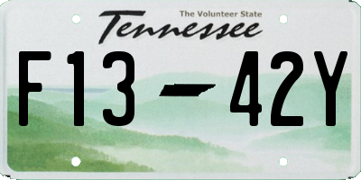 TN license plate F1342Y