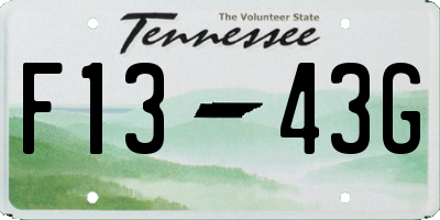 TN license plate F1343G