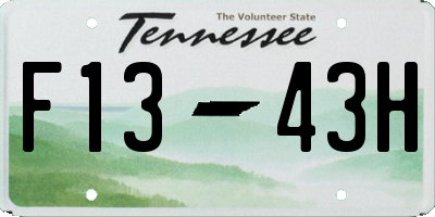 TN license plate F1343H