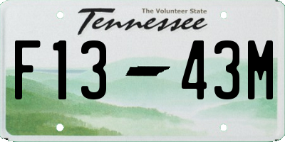 TN license plate F1343M