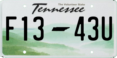 TN license plate F1343U