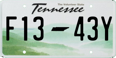 TN license plate F1343Y