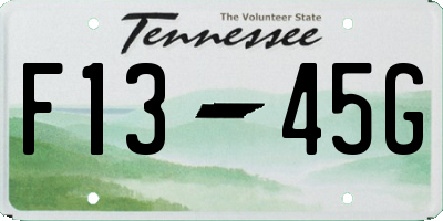 TN license plate F1345G