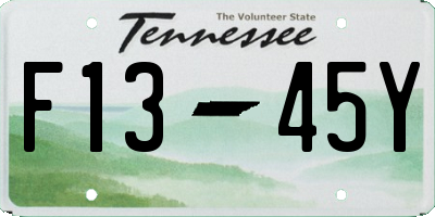 TN license plate F1345Y