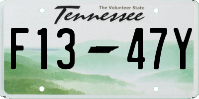TN license plate F1347Y