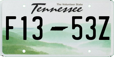 TN license plate F1353Z
