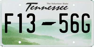 TN license plate F1356G