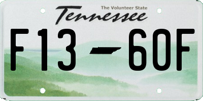 TN license plate F1360F
