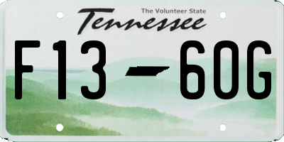 TN license plate F1360G