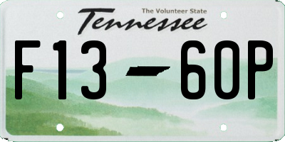 TN license plate F1360P