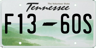 TN license plate F1360S