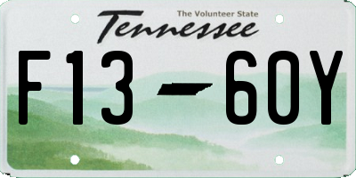 TN license plate F1360Y