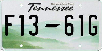 TN license plate F1361G