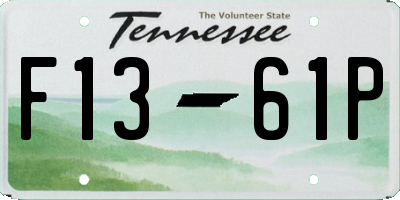 TN license plate F1361P