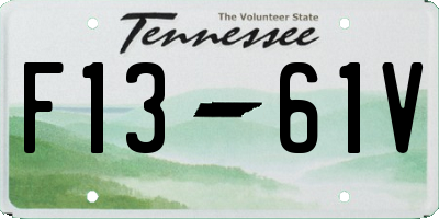 TN license plate F1361V