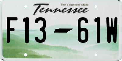 TN license plate F1361W