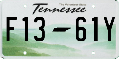 TN license plate F1361Y