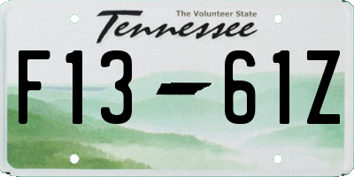 TN license plate F1361Z