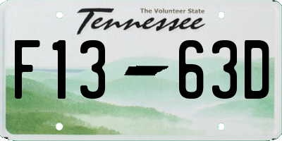 TN license plate F1363D