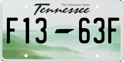 TN license plate F1363F