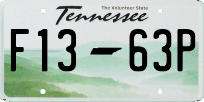 TN license plate F1363P