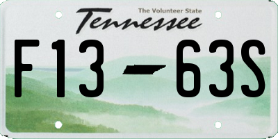 TN license plate F1363S