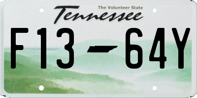 TN license plate F1364Y