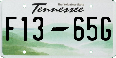 TN license plate F1365G