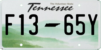 TN license plate F1365Y
