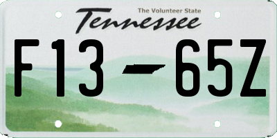 TN license plate F1365Z