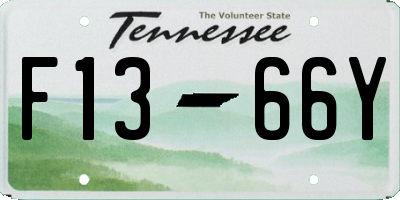 TN license plate F1366Y