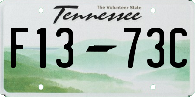 TN license plate F1373C