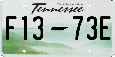 TN license plate F1373E