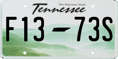 TN license plate F1373S