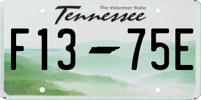 TN license plate F1375E