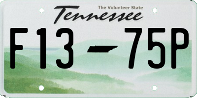 TN license plate F1375P