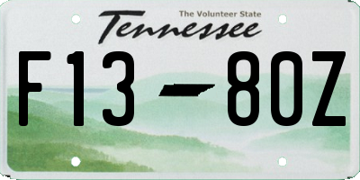 TN license plate F1380Z