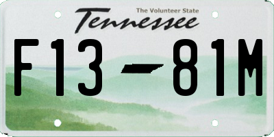 TN license plate F1381M
