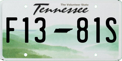 TN license plate F1381S