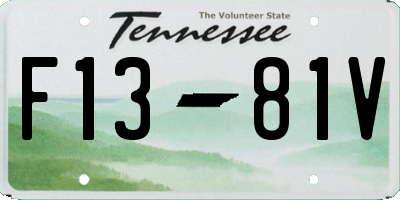 TN license plate F1381V