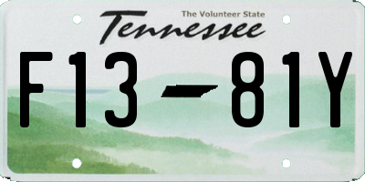 TN license plate F1381Y