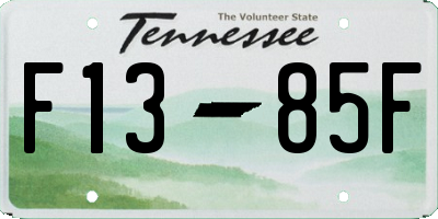 TN license plate F1385F