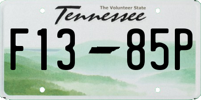 TN license plate F1385P