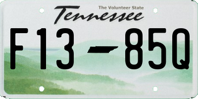 TN license plate F1385Q