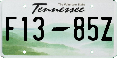 TN license plate F1385Z