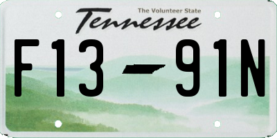 TN license plate F1391N