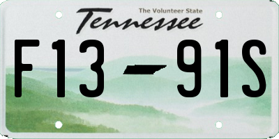 TN license plate F1391S