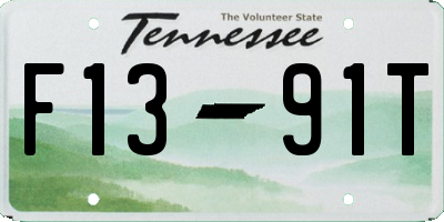 TN license plate F1391T